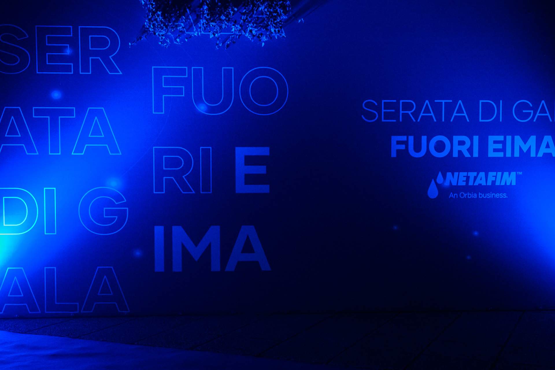 Timber acoustic ceiling with class and greenery