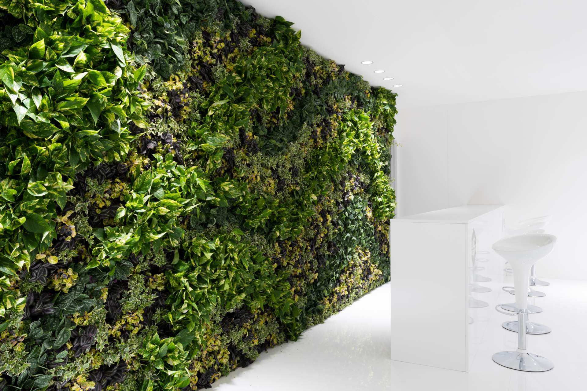 Timber acoustic ceiling with class and greenery