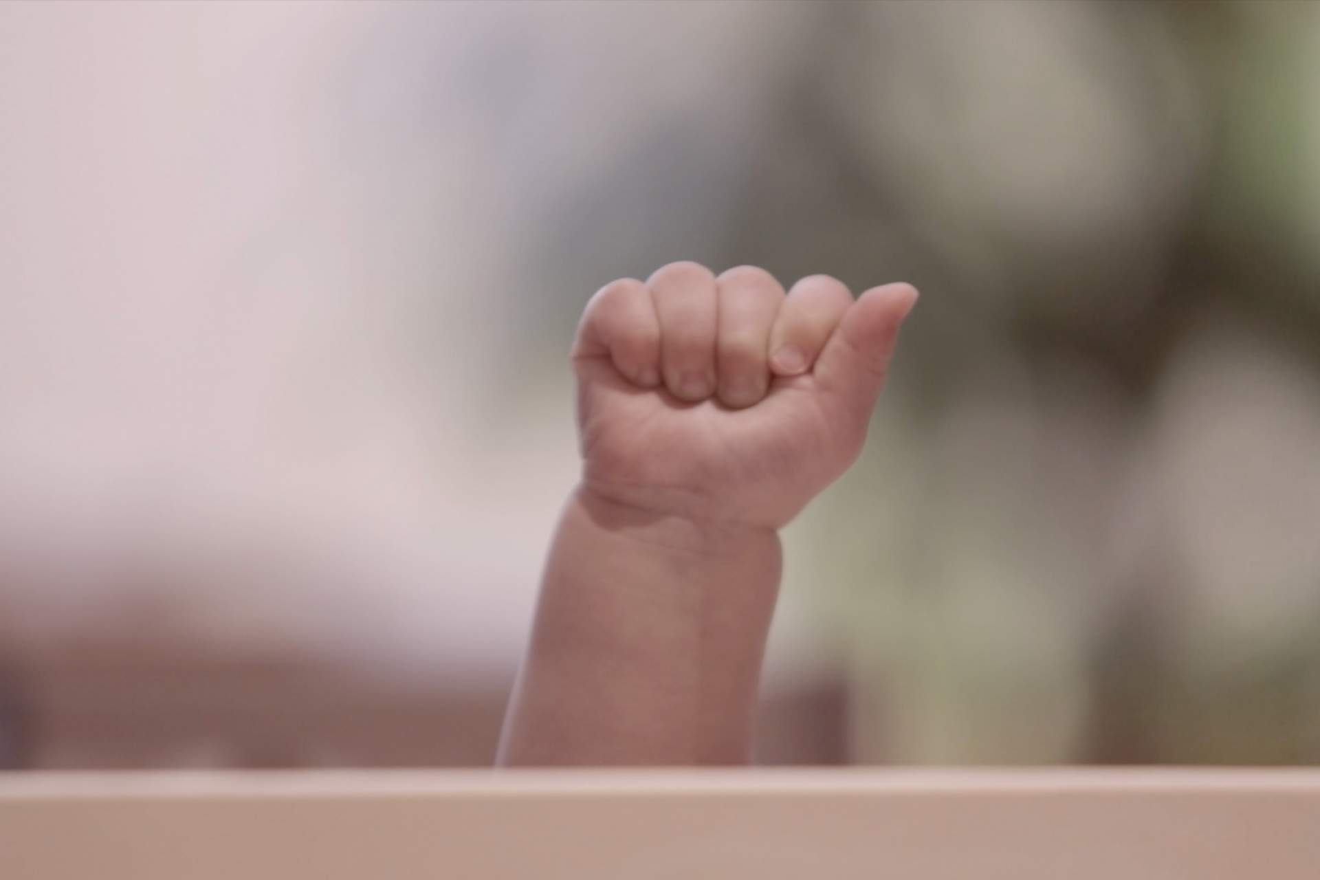 Timber acoustic ceiling with class and greenery