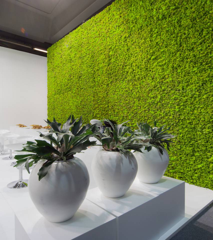 The choice of furnishings in the exhibition space The choice of furnishings in the exhibition space