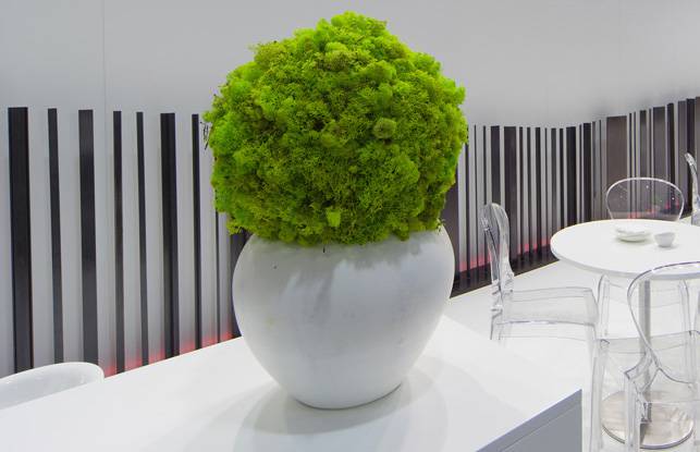 The choice of furnishings in the exhibition space The choice of furnishings in the exhibition space