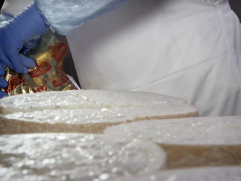 Auricchio  Fiera Corporate