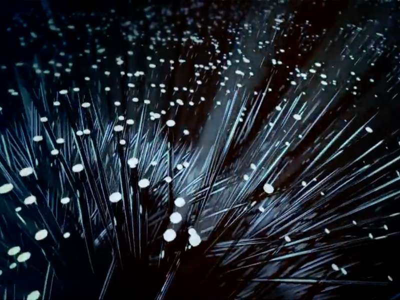 Gruppo LGH: Linea Com