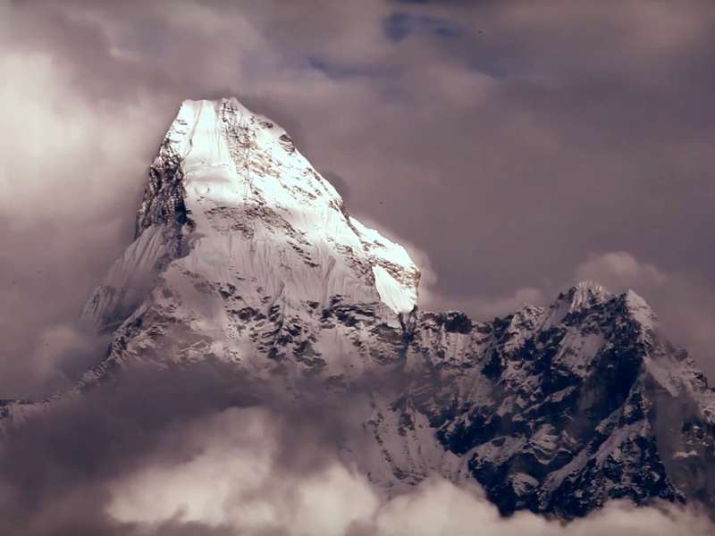 Eurofred Fiera Corporate