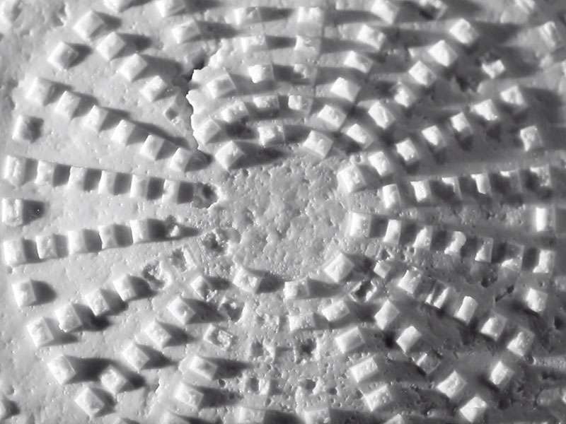 Chiodo Fiera Corporate