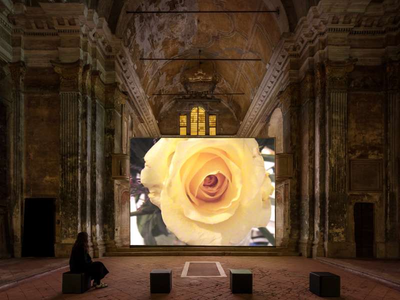 customized solutions, audio video system, display cases , FORM for art , San Carlo Cremona
