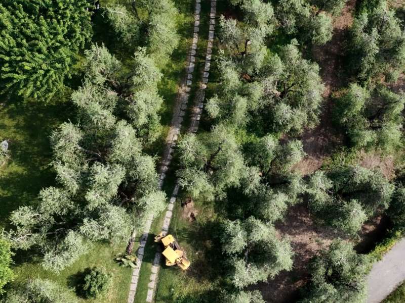 Sanitaria Servizi Ambientali 